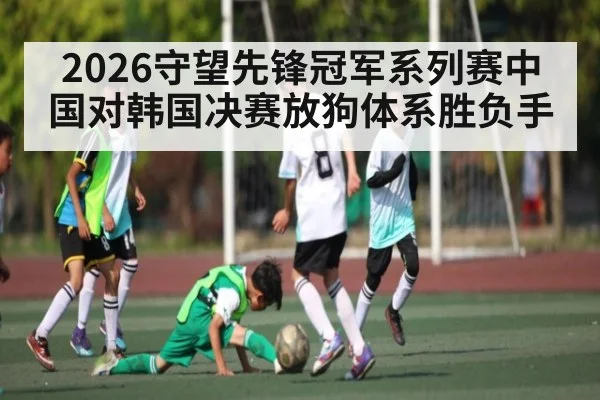 2026守望先锋冠军系列赛中国对韩国决赛放狗体系胜负手